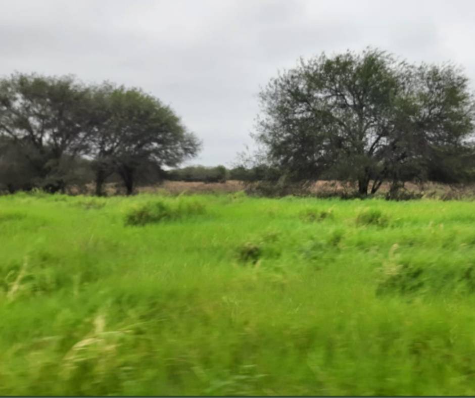 Estancia en venta en Pozo Colorado