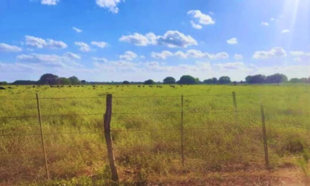 Estancia en venta en Zona Neuland