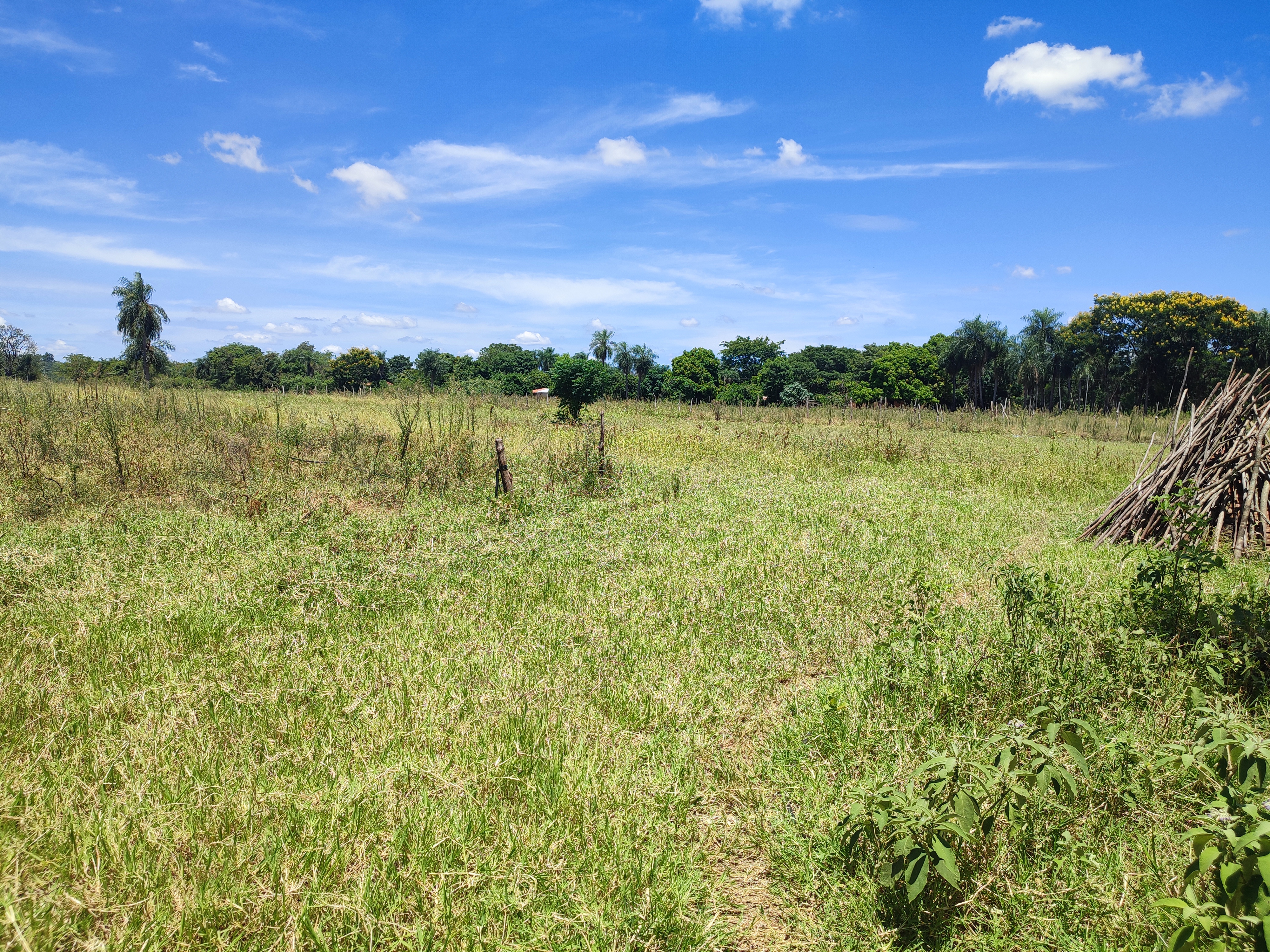 Terreno en venta en Gral. Diaz