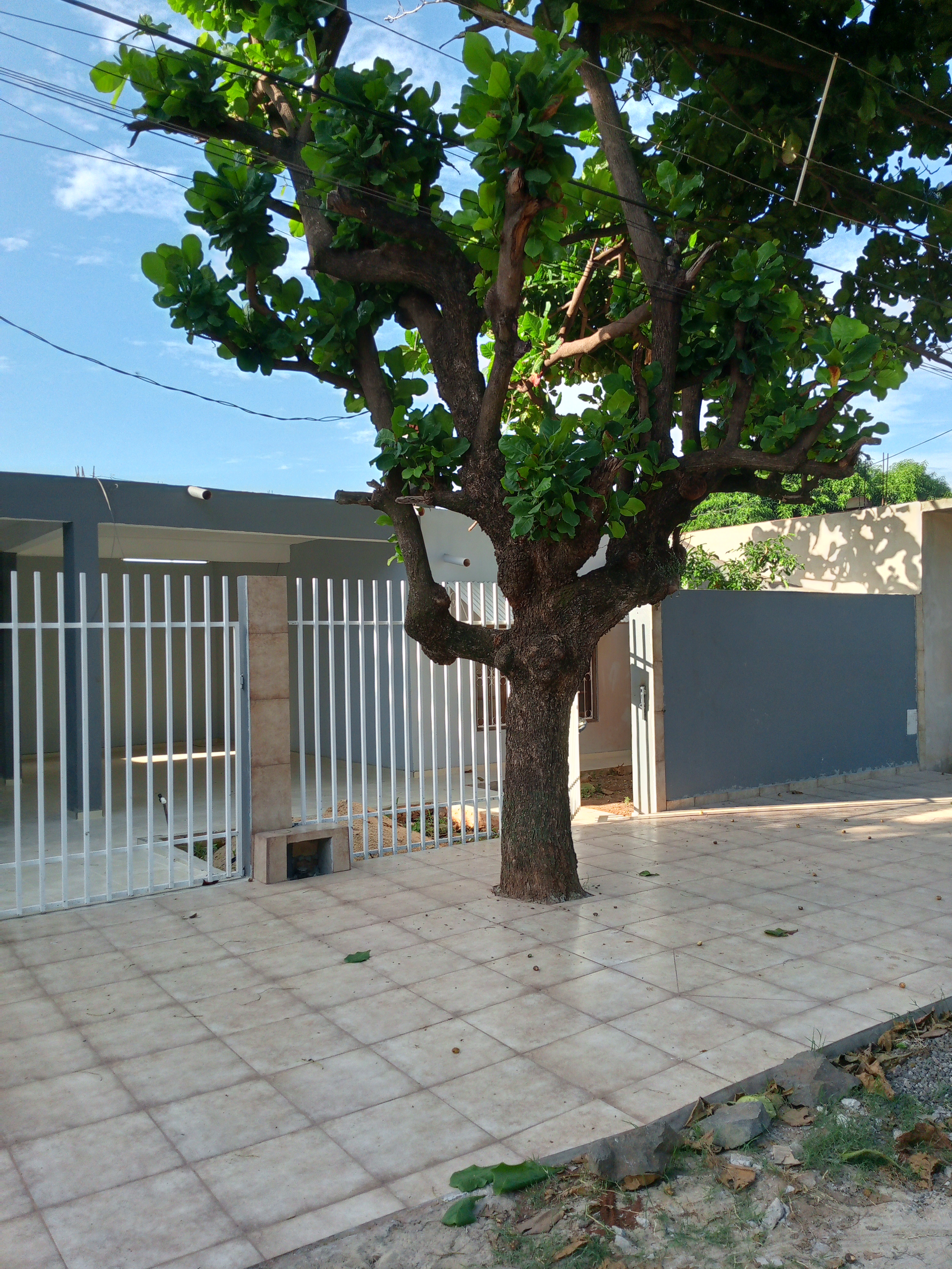 Casa en alquiler en Agronomo