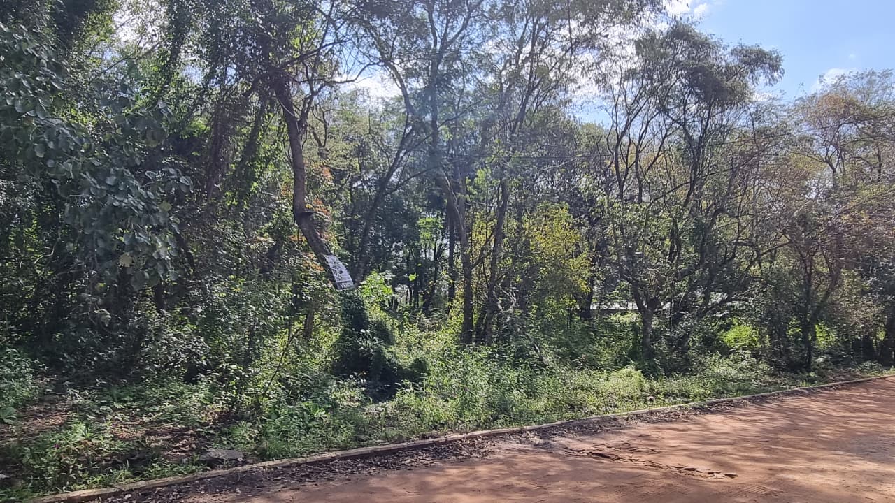 Terreno en venta en San Bernardino