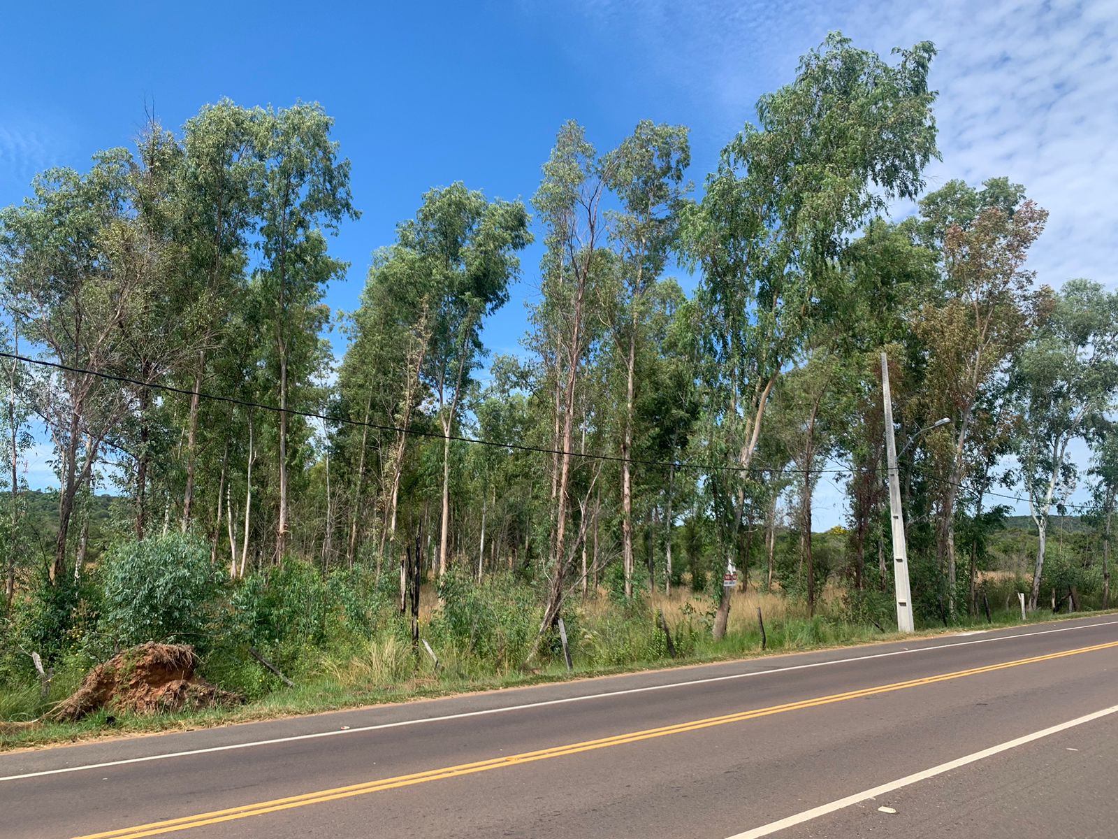 Terreno en venta en San Bernardino
