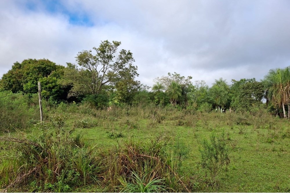 Terreno en venta en Santa Elena
