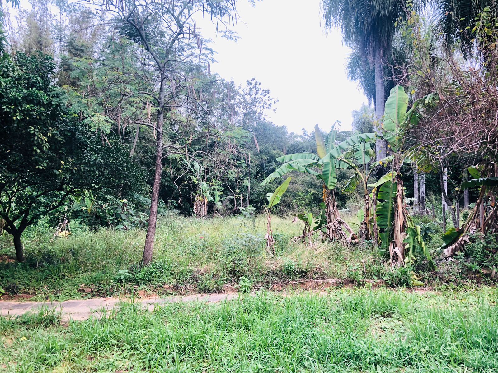 Terreno en venta en Virgen de Fatima