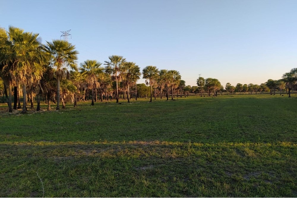 Terreno en venta en Jose Falcon