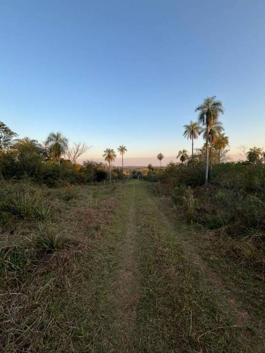 Terreno en venta en Altos