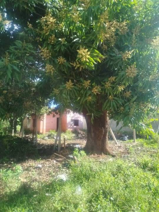 Terreno en venta en San Lorenzo