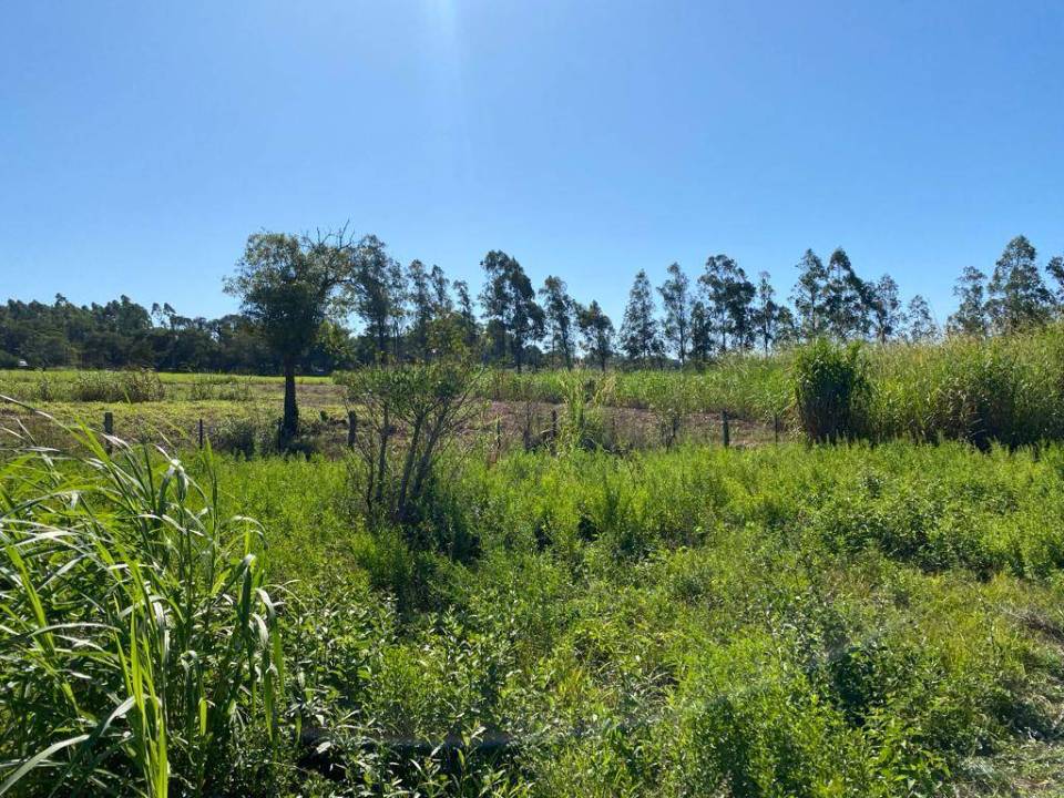 Terreno en venta en Luque