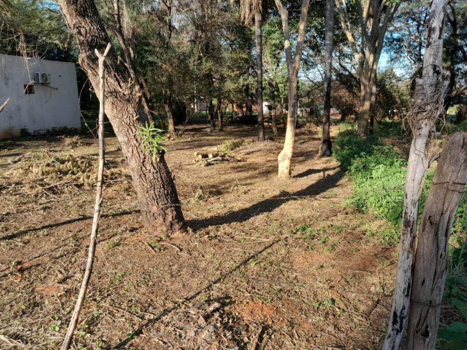 Terreno en venta en Luque