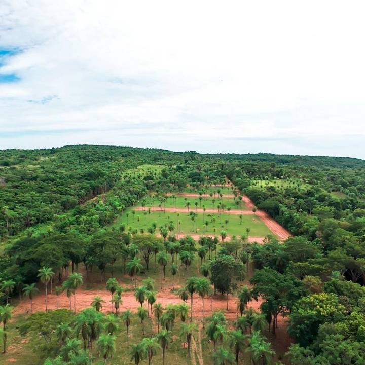 Terreno en venta en Altos