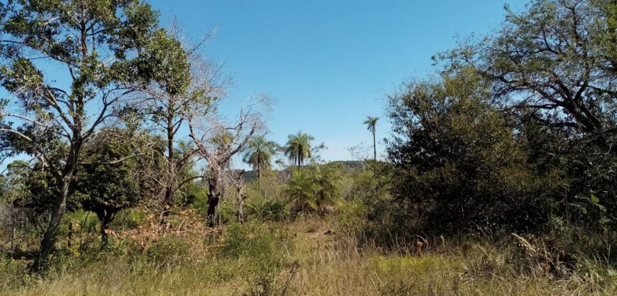 Terreno en venta en Piribebuy