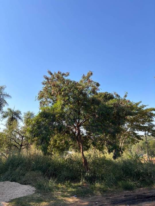Terreno en venta en Mariano Roque Alonso