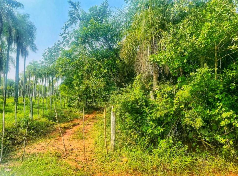 Terreno en venta en Piribebuy