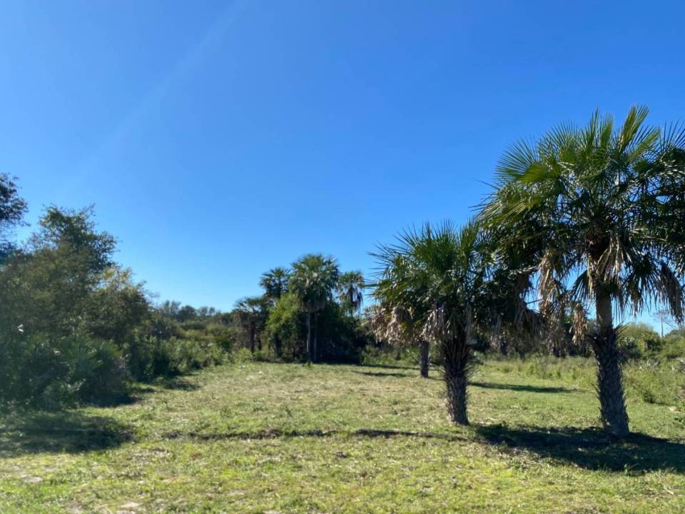 Terreno en venta en Limpio