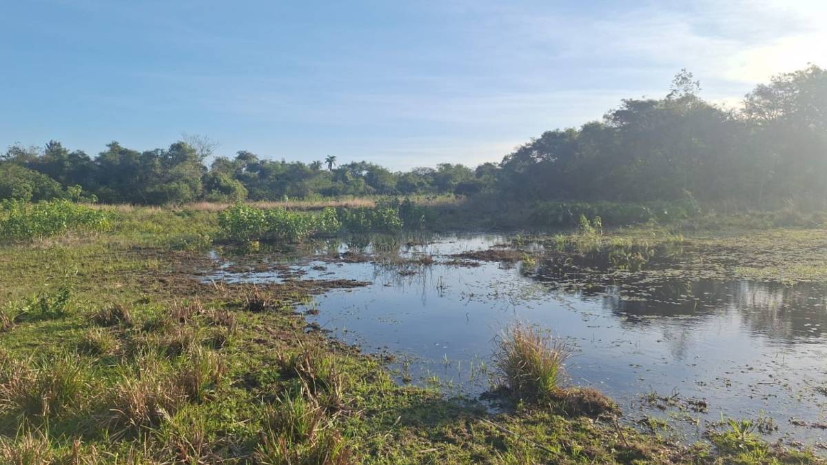 Terreno en venta en Nueva Colombia