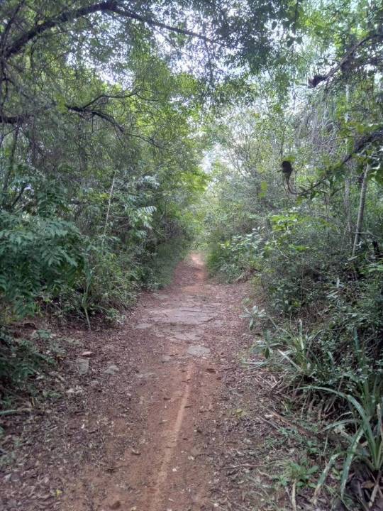Terreno en venta en Nueva Colombia