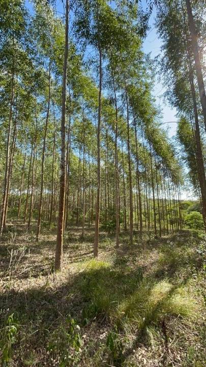 Terreno en venta en Coronel Oviedo
