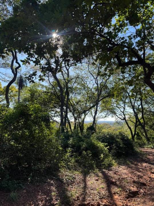 Terreno en venta en Aregua
