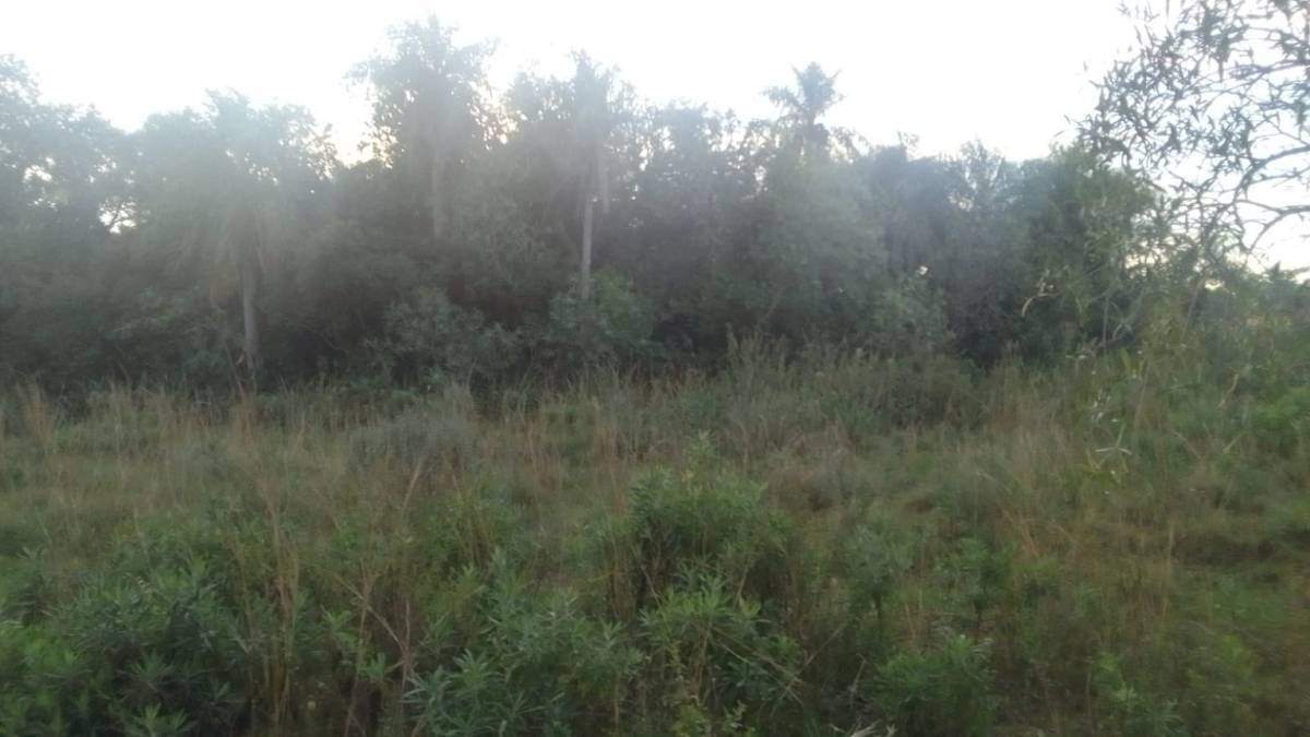 Terreno en venta en Pirayu