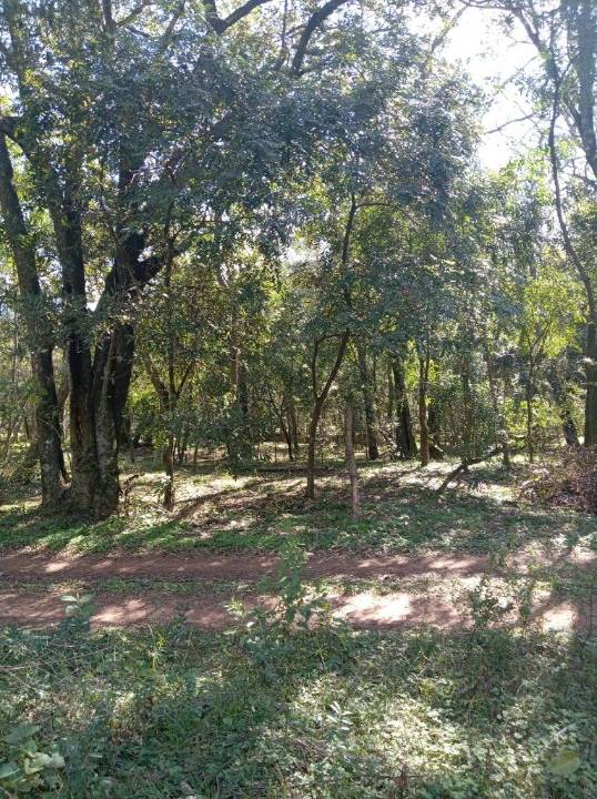 Terreno en venta en Altos