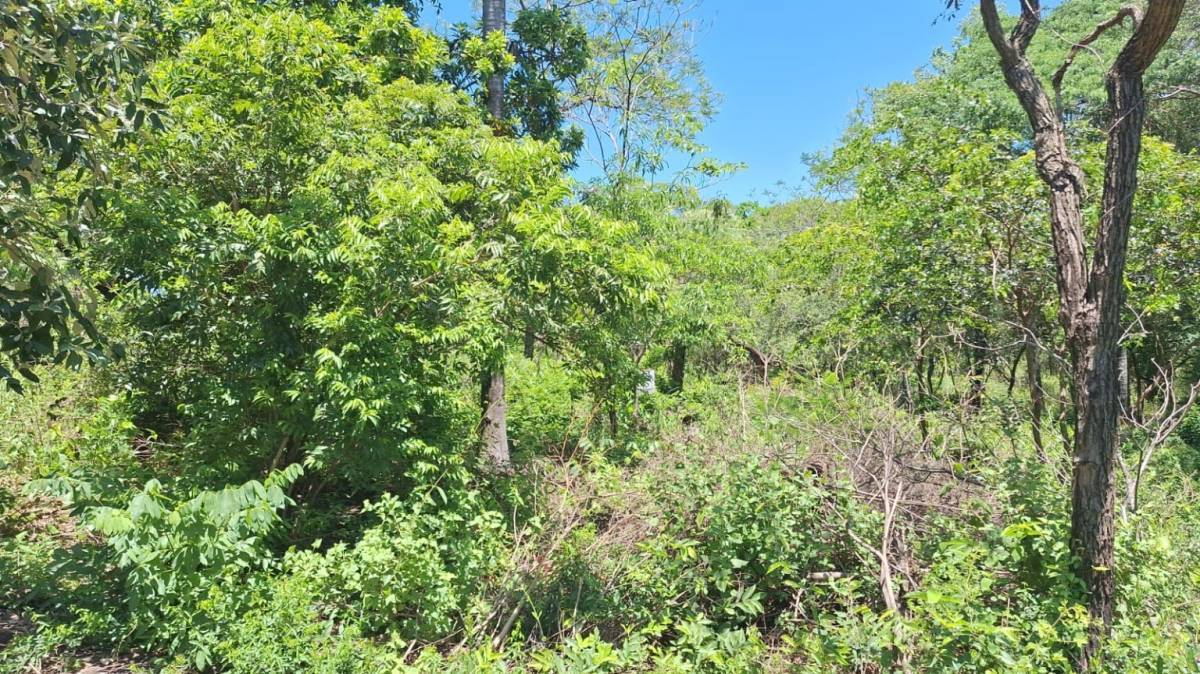 Terreno en venta en San Bernardino