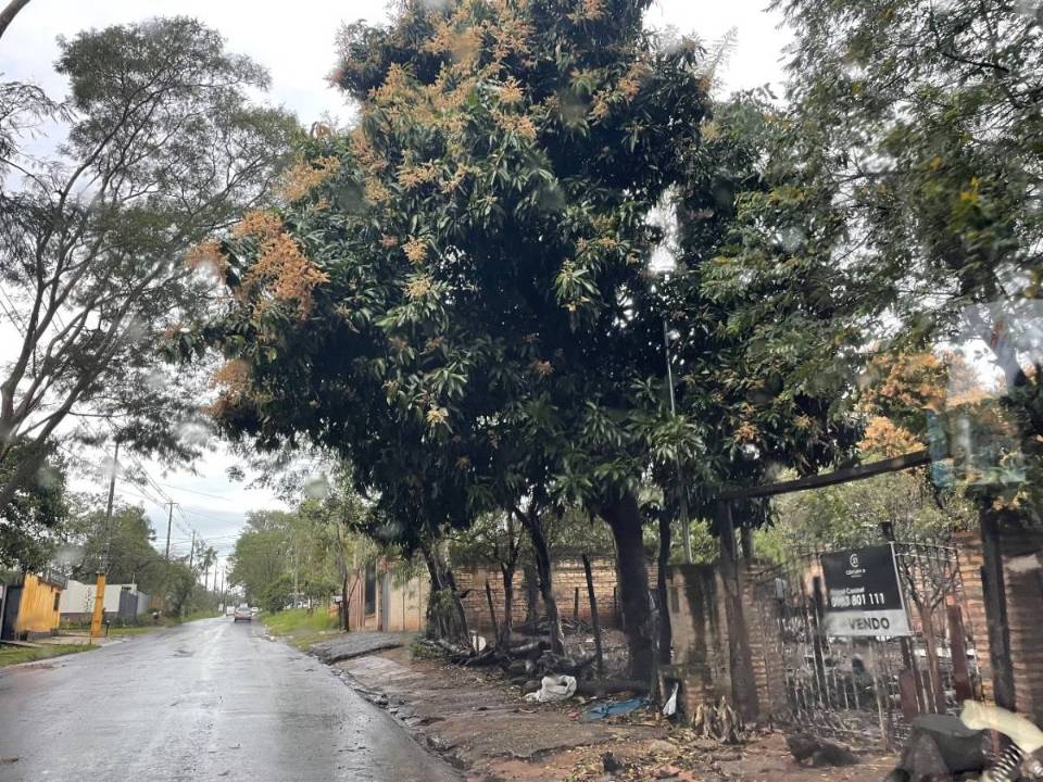 Terreno en venta en Luque
