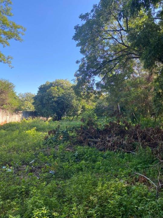 Terreno en venta en San Bernardino