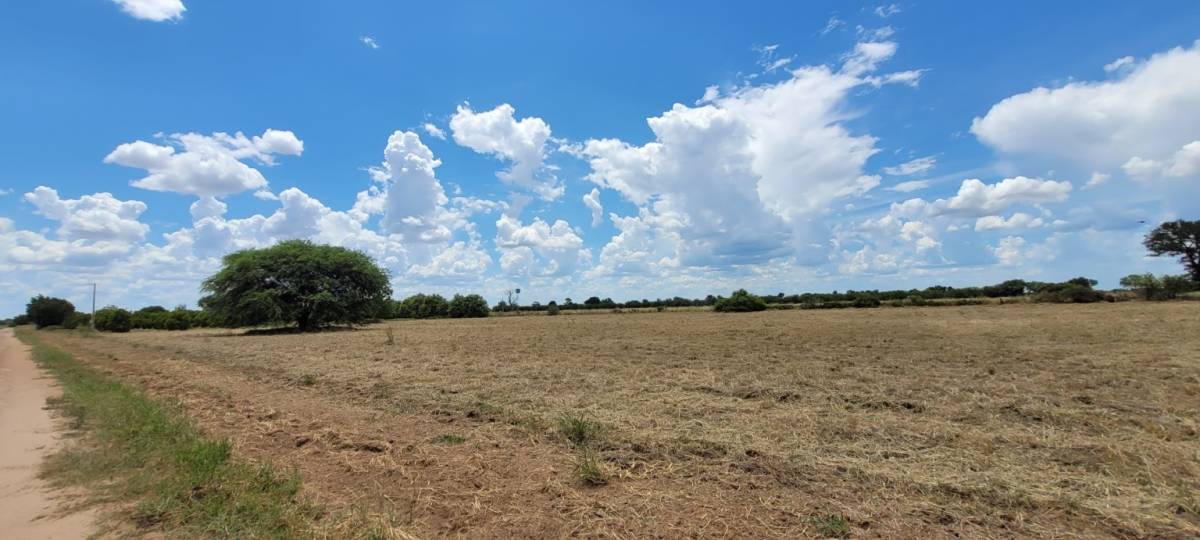 Terreno en venta en Loma Plata