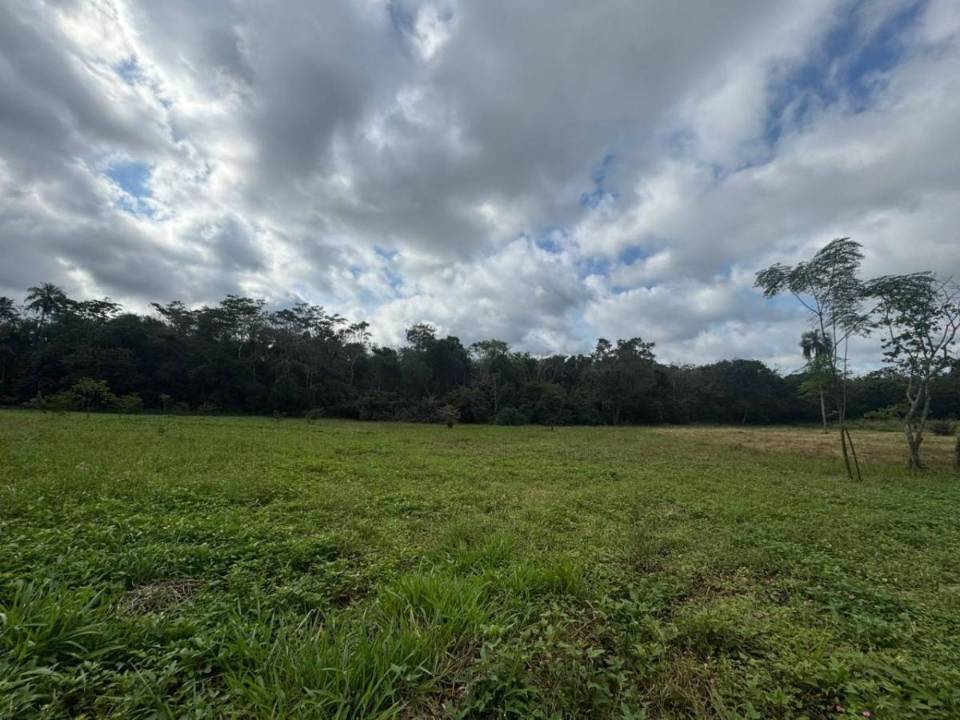 Terreno en venta en Coronel Oviedo
