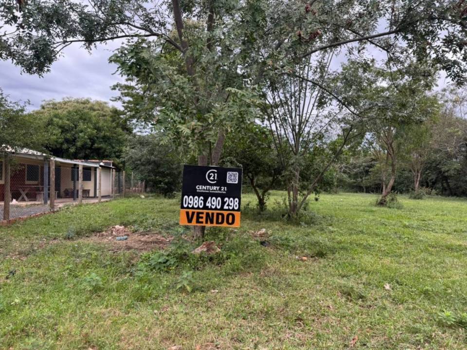 Terreno en venta en Coronel Oviedo