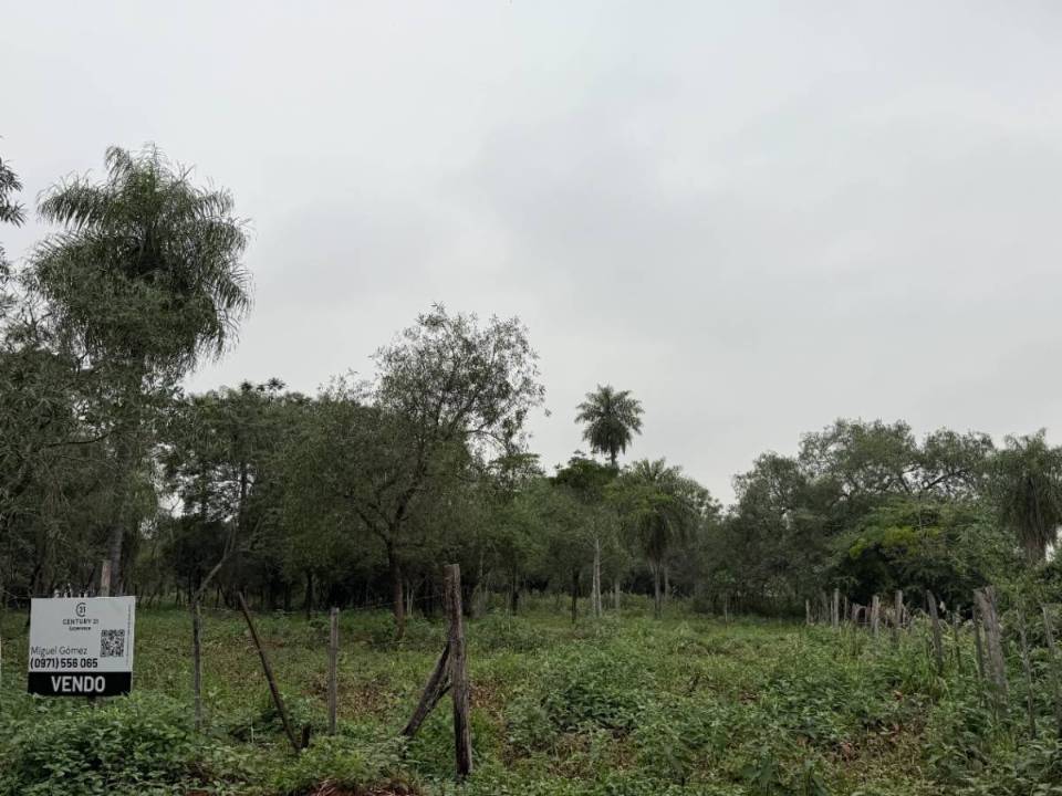 Terreno en venta en Luque