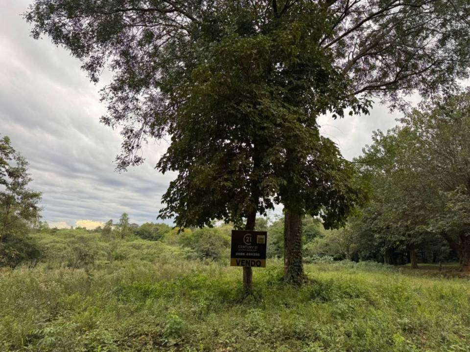 Terreno en venta en Coronel Oviedo