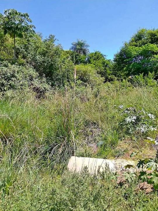 Terreno en venta en Encarnacion