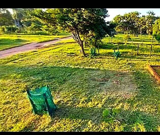 Terreno en venta en Caaguazu