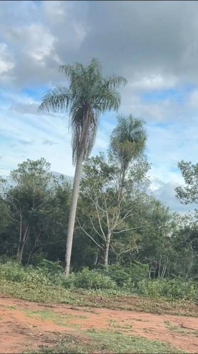 Terreno en venta en Altos