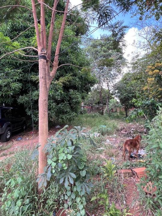 Terreno en venta en Luque