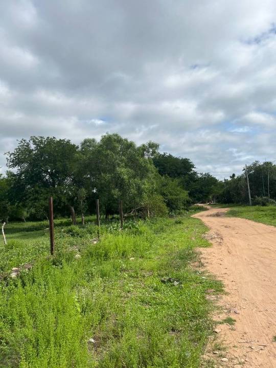 Terreno en venta en San Bernardino