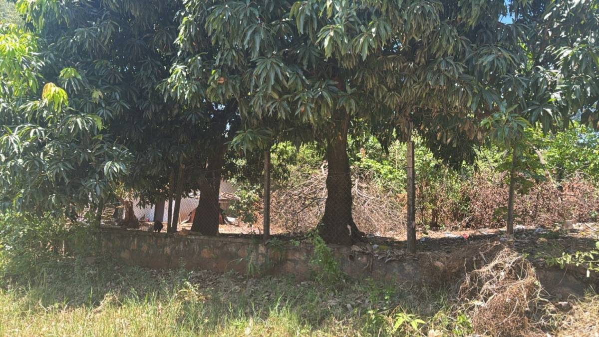 Terreno en venta en San Blas