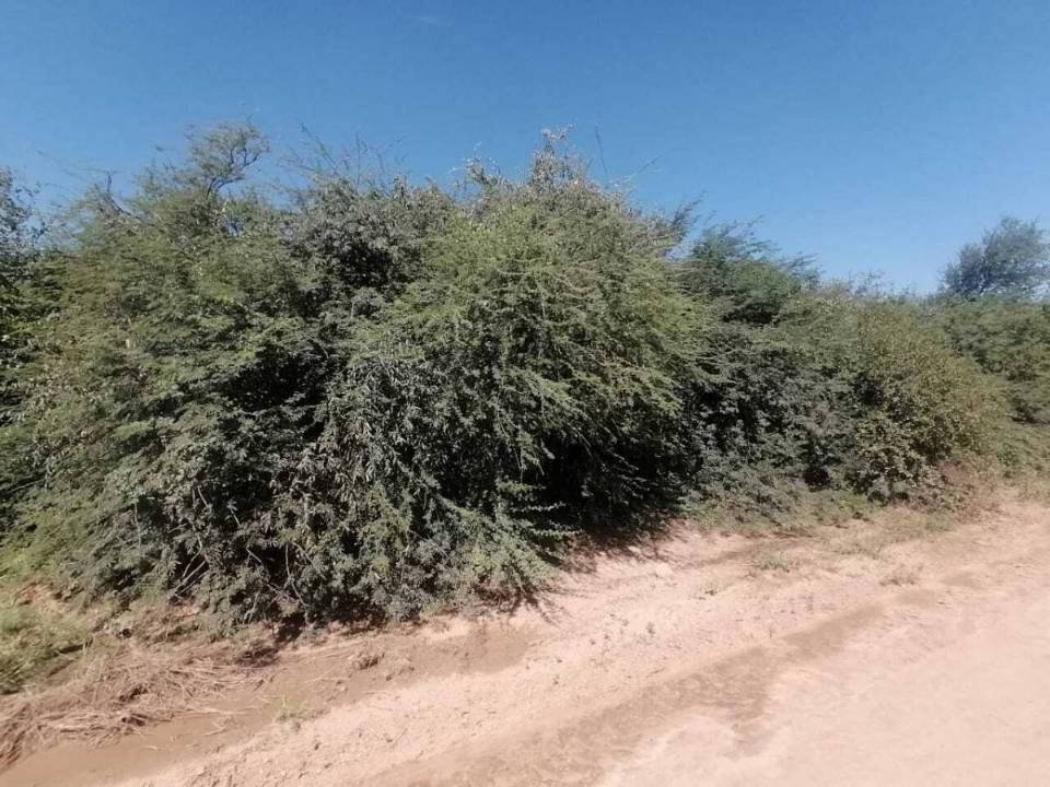 Terreno en venta en Loma Plata