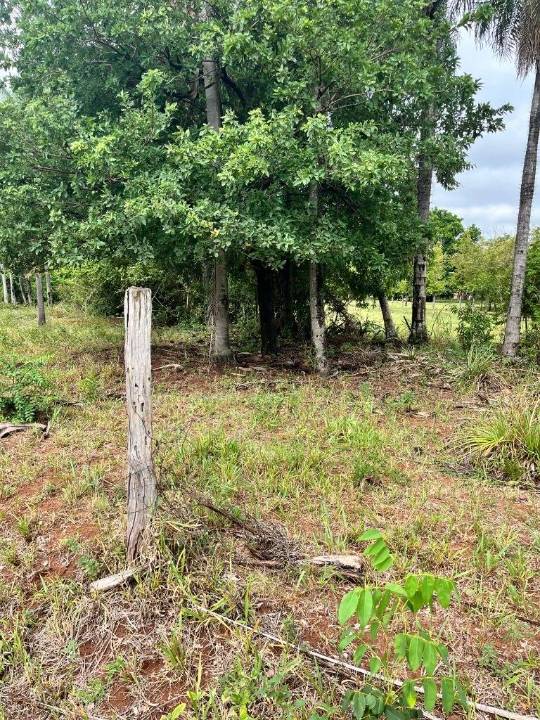 Terreno en venta en Caacupe