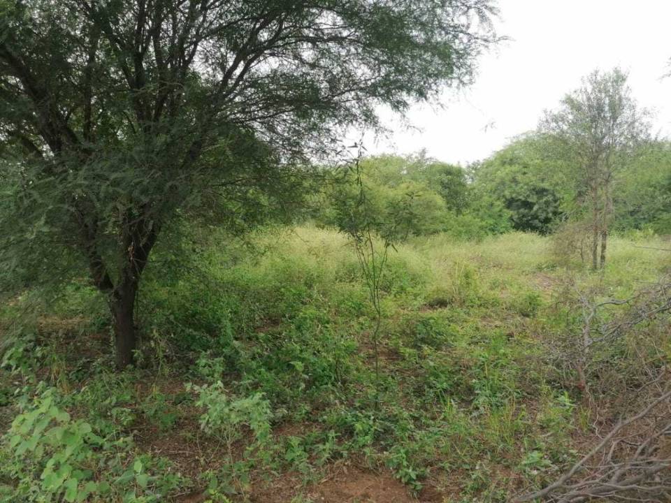 Terreno en venta en Loma Plata