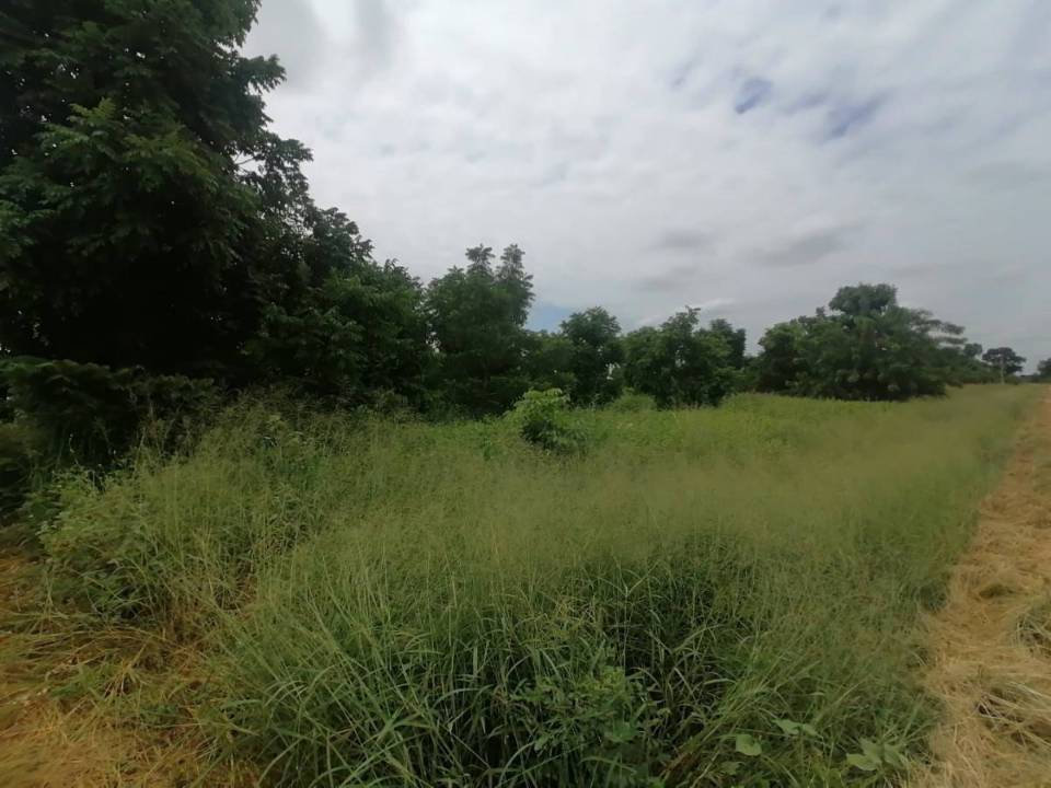 Terreno en venta en Loma Plata