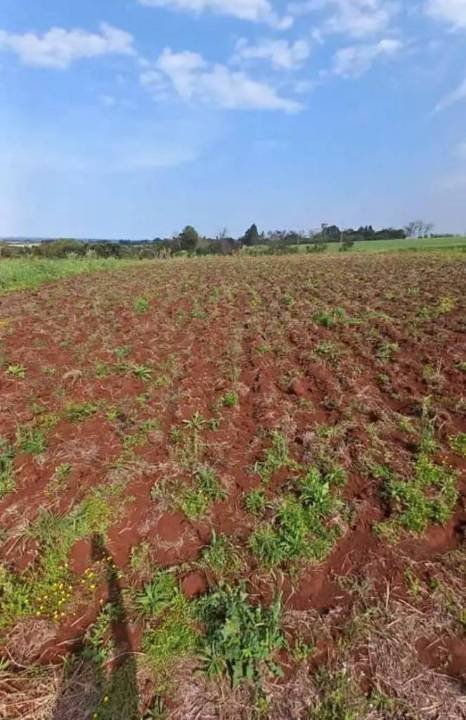 Terreno en venta en Nueva Alborada