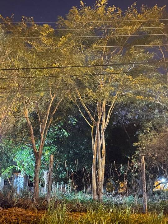 Terreno en venta en Limpio