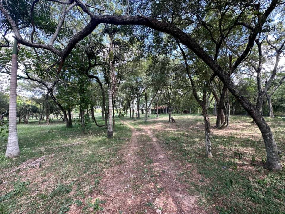 Terreno en venta en Mariano Roque Alonso