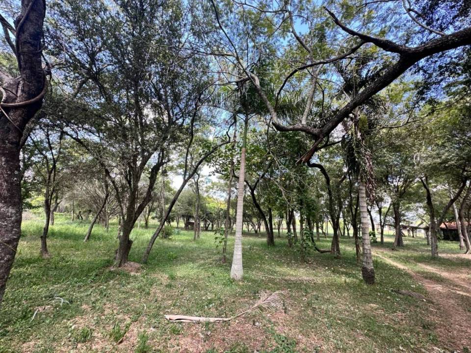 Terreno en venta en Mariano Roque Alonso