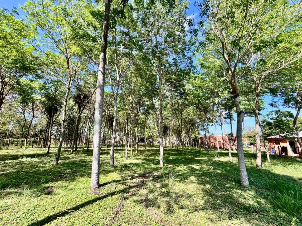 Terreno en venta en Ypane