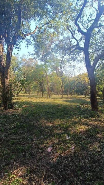 Terreno en venta en San Bernardino