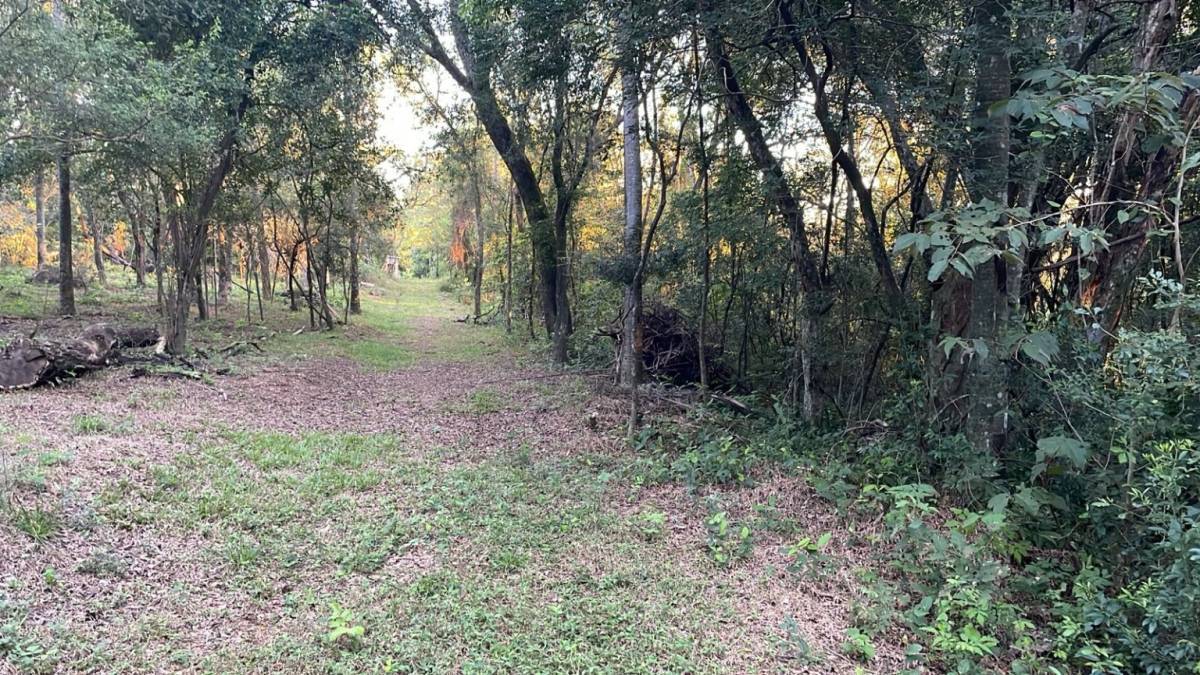 Terreno en venta en Ypacarai