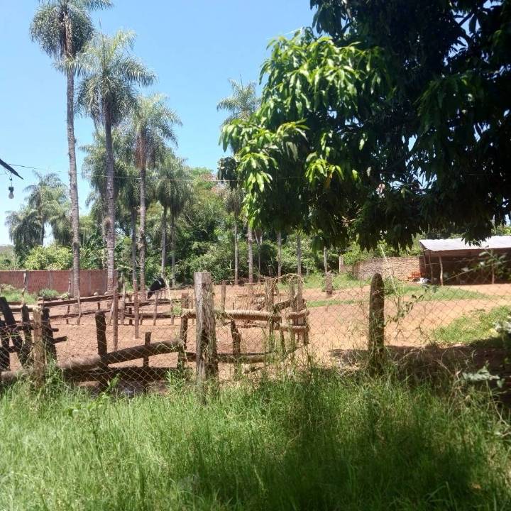 Terreno en venta en Luque